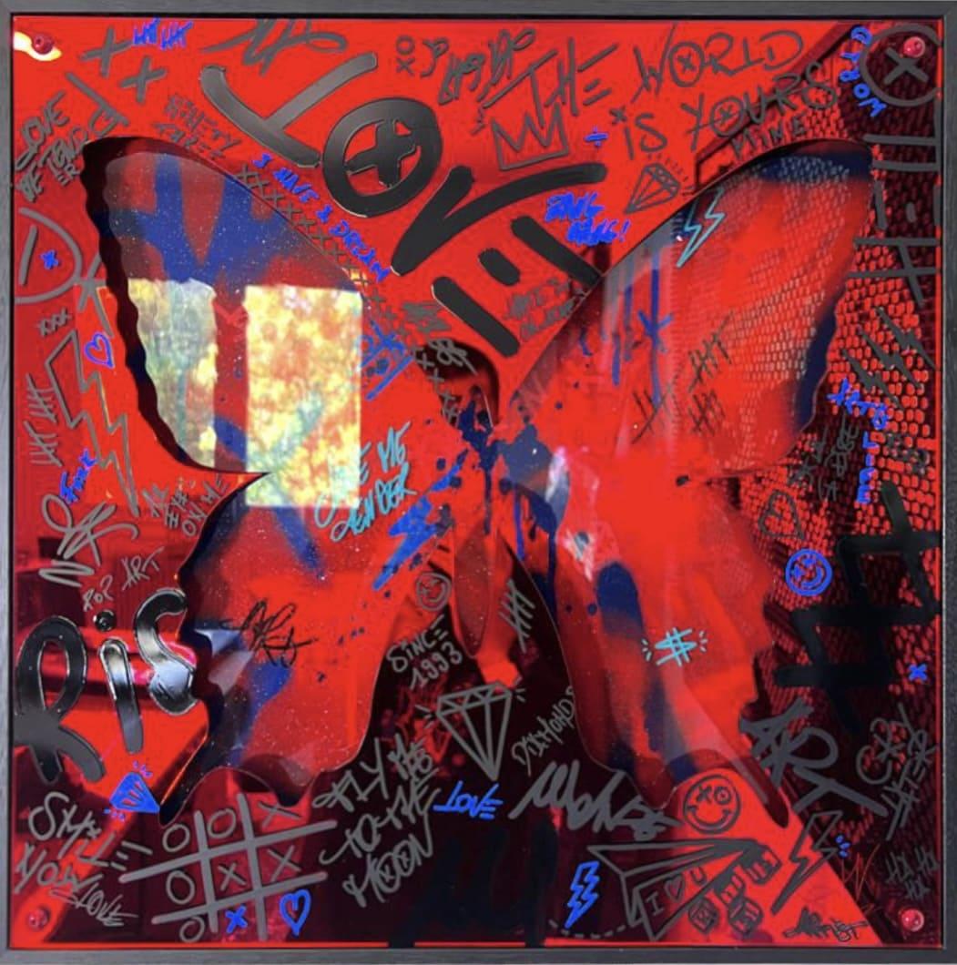 photographie de l'oeuvre Butterfly Red Mirror de l'artiste Thomas Krief 