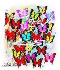 photographie de l'oeuvre Butterfly 2 de l'artiste Christian Della Giustina 